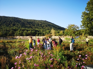 Ruta Gastronómica, Bustarviejo