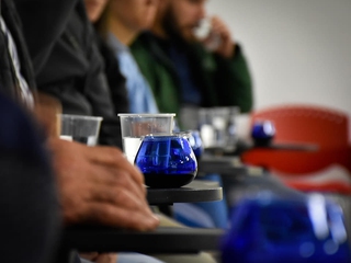 Roblillejo por un día