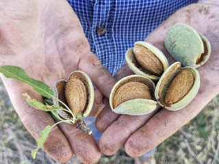 Visita "El Almuerzo" César Príncipe Bodegas