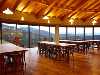 Visita Picoteo Bodega Berroja