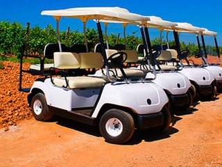 Paseo en Buggy + Cata en Viñedo