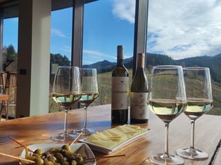 Visita Picoteo Bodega Berroja