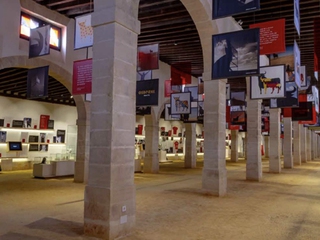 Visita a nuestra Bodega de Mora con una degustación de cuatro vinos de Jerezy vermú.