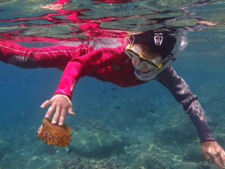 Snorkeling - Buceo con tubo