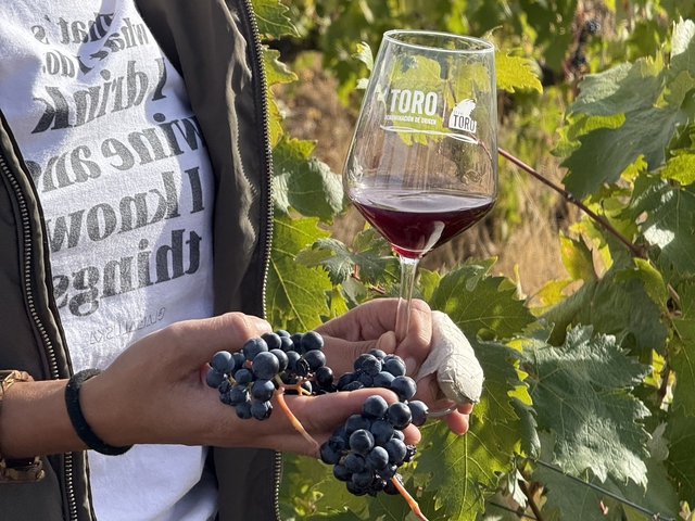 Ruta del Vino de Toro