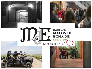 Visita a los viñedos en buggy + Visita a bodega + degustación de 3 vinos