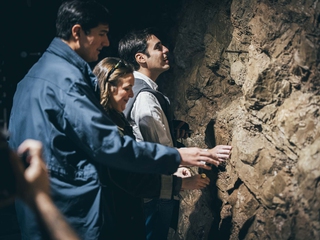 Visita guiada con degustación de txakolis