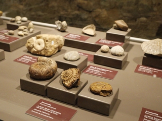 Alpuente - Visita Guiada - Ruta Taifa y Museos