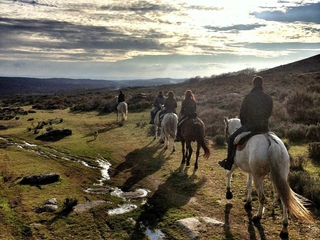 Grupo Haciendo la Actividad