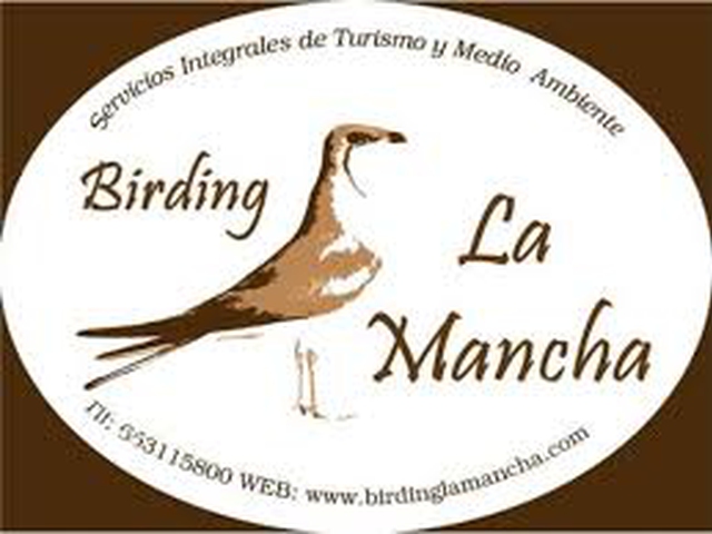 Exposición de Aves Rapaces en el Castillo de Consuegra, Toledo