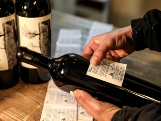 Visita a bodega, con cata y aperitivo