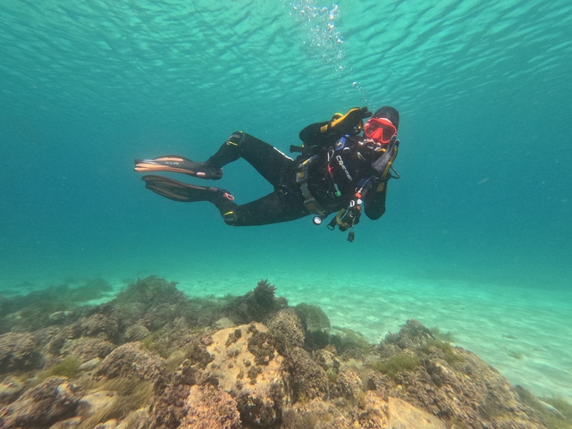 Curso open water PADI, certificado