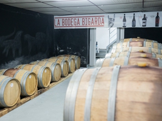 Cata de 5 vinos D.O. Toro en bodega a orillas del Río Duero