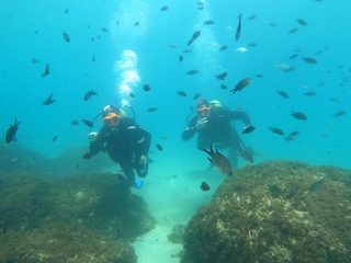 Inmersiones desde Costa o Barco
