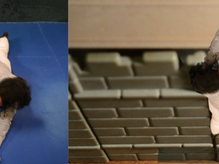 Grabación de videos con Chroma Key