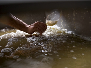 El Vino del campo a la mesa