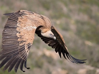 El enigma de la Ermita de San Frutos, la última llave