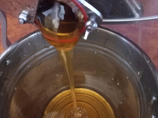 Apicultor por un día