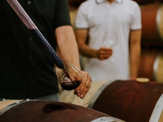Visita guiada a una Bodega con más de 300 premios