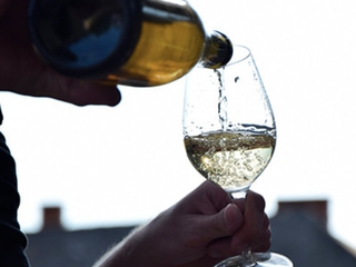 Vinos de la Viña del Abuelo