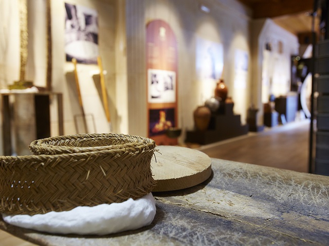Visita al Museo del Queso y degustación de 8 tipos de queso de oveja