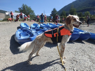 Kayak en Embalse Aguas Tranquilas