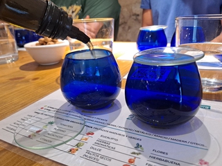 Oliete Smart Biking - Ruta guiada en bicicleta eléctrica  + experiencia oleoturística