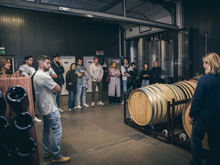 Visita guiada con degustación de txakolis