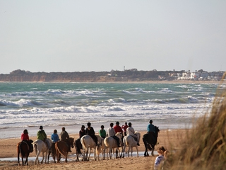 Ruta a Caballo - Playa o Pinares