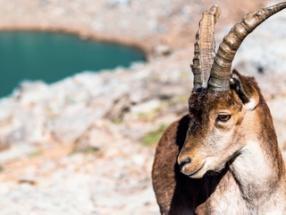 La Alpujarra y Sierra Nevada