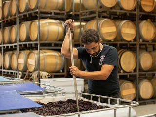 Cata de 5 vinos D.O. Toro en bodega a orillas del Río Duero