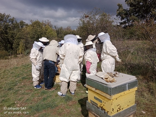 Apicultor por un día
