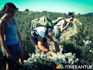 La Sierra de Irta: El Mediterráneo Primitivo