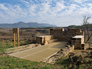 Descubre el Proyecto Tobelos + Cata de Vinos