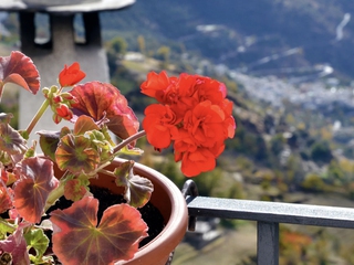 La Alpujarra y Sierra Nevada