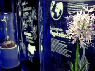 Orchydarium, Centro Divulgativo