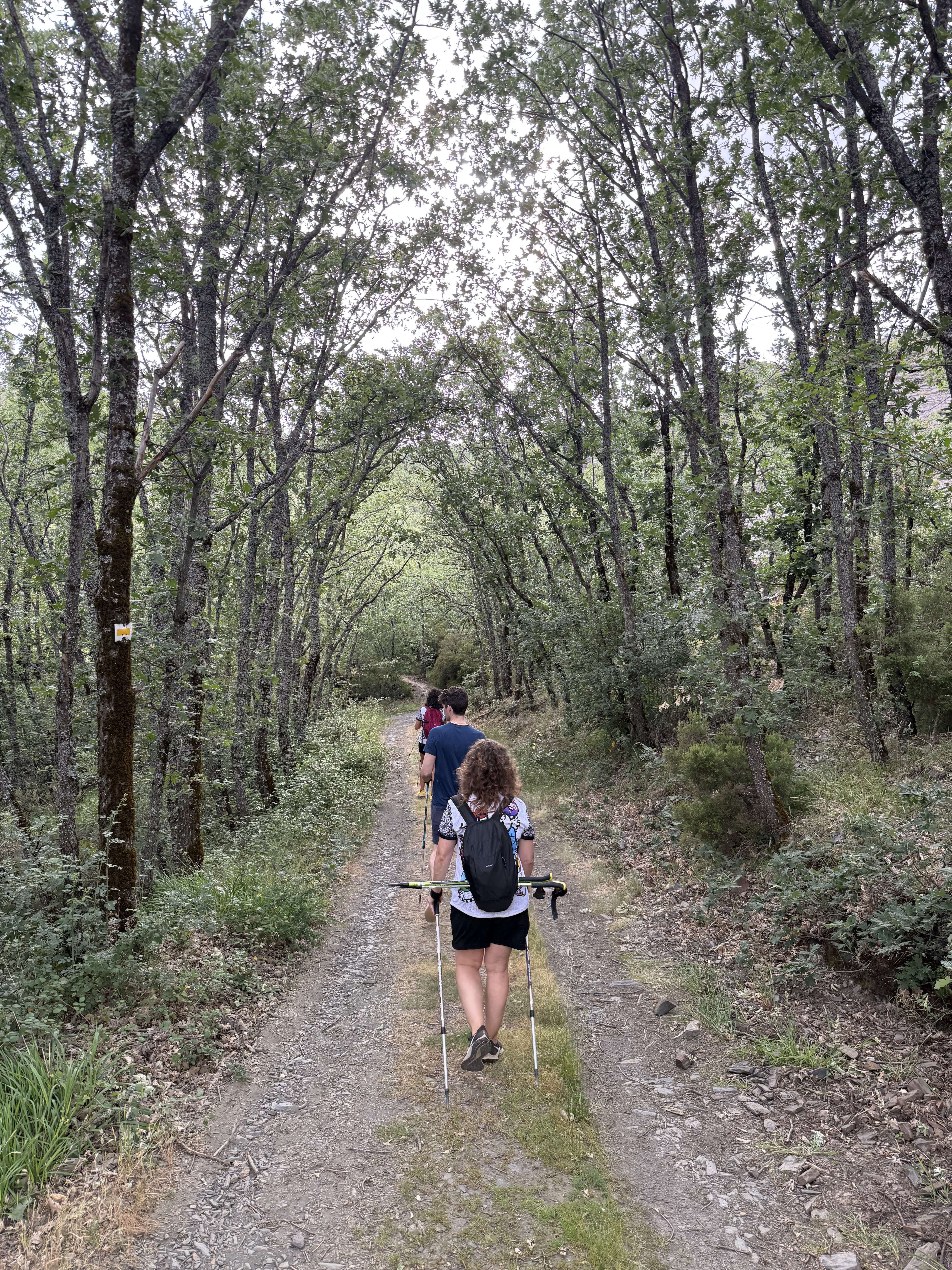Nordeste de Segovia: Naturaleza, Tradición y Aventuras no muy lejos de Madrid
