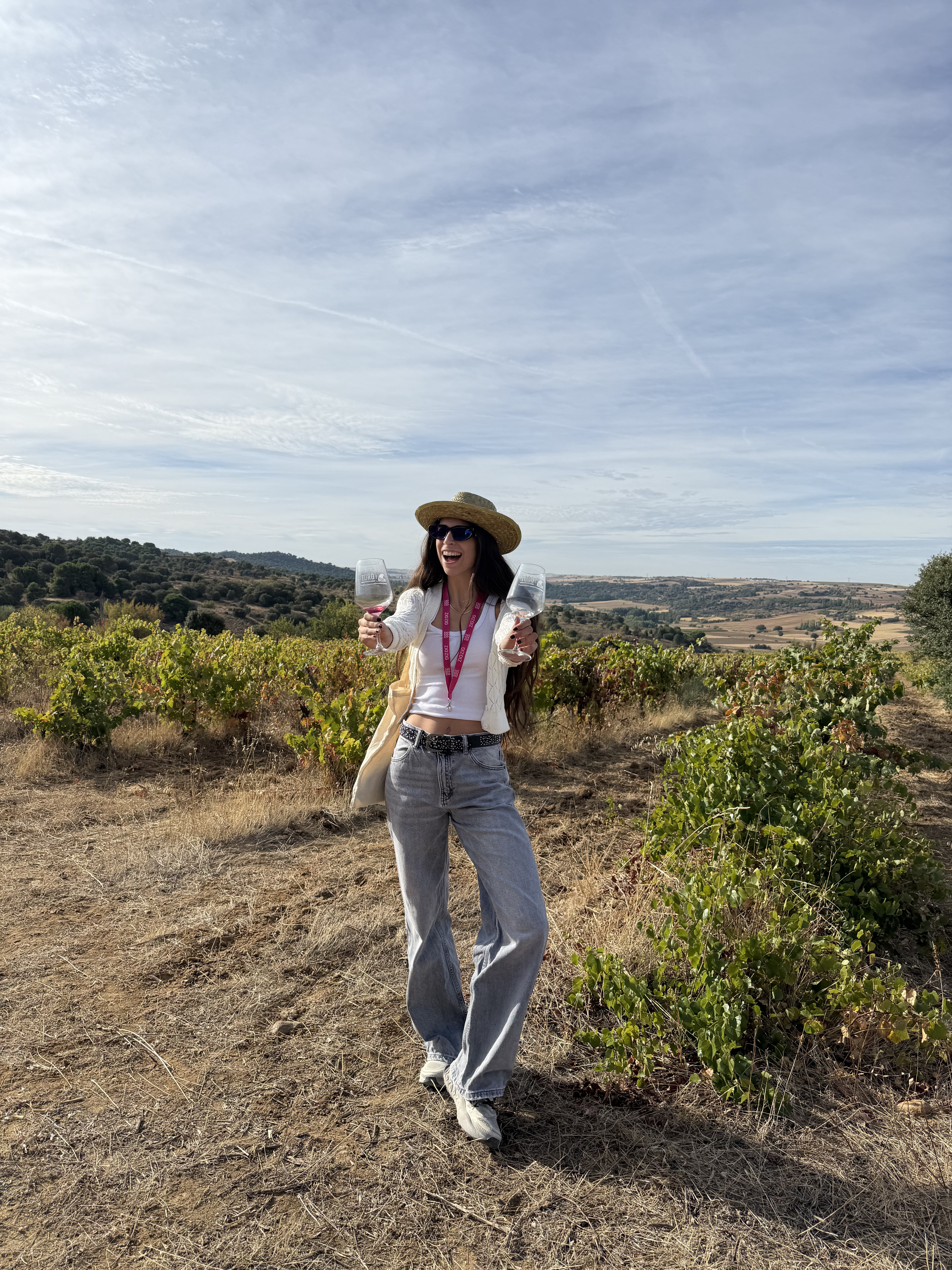 Por qué visitar Toro: vino, patrimonio y escapadas con sabor a Zamora