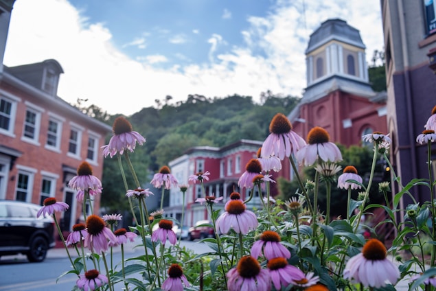 Pueblo con flores
