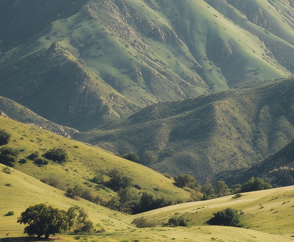 Naturaleza rural